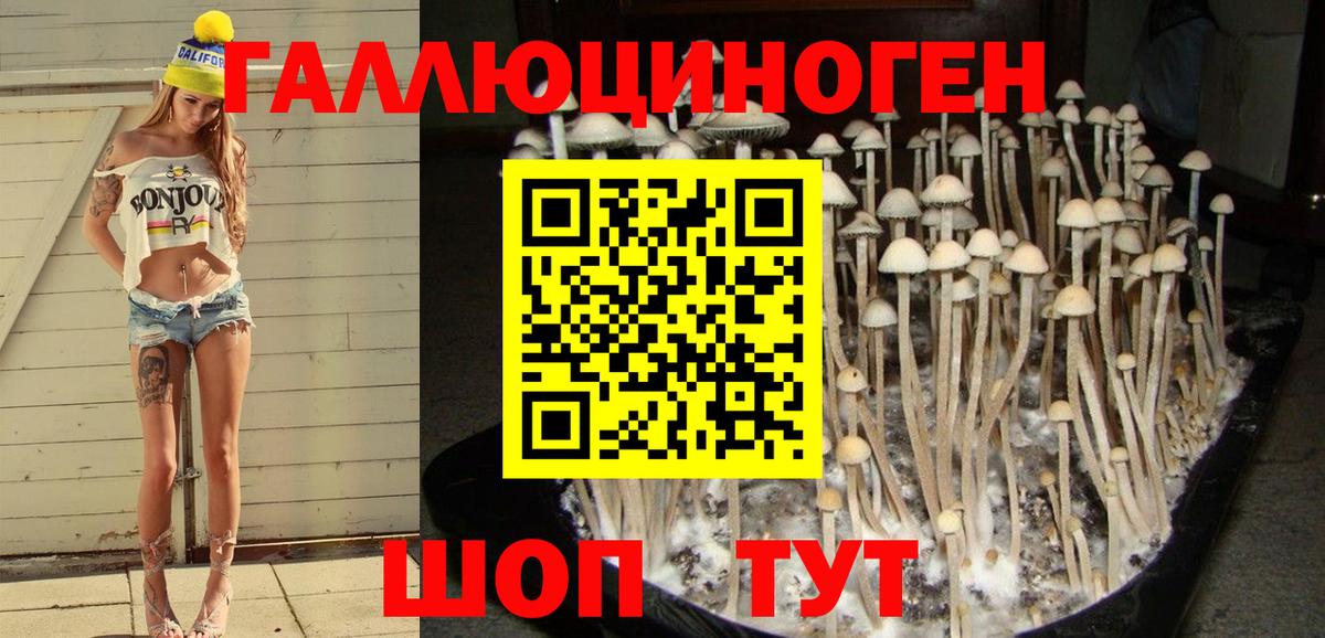 Галлюциногенные грибы Magic Shrooms  Вход с VPN  Ржев  Галлюциногенные грибы мицелий 