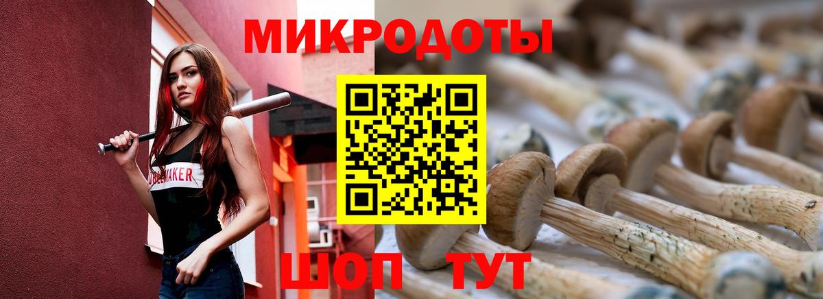 Галлюциногенные грибы прущие грибы Ржев