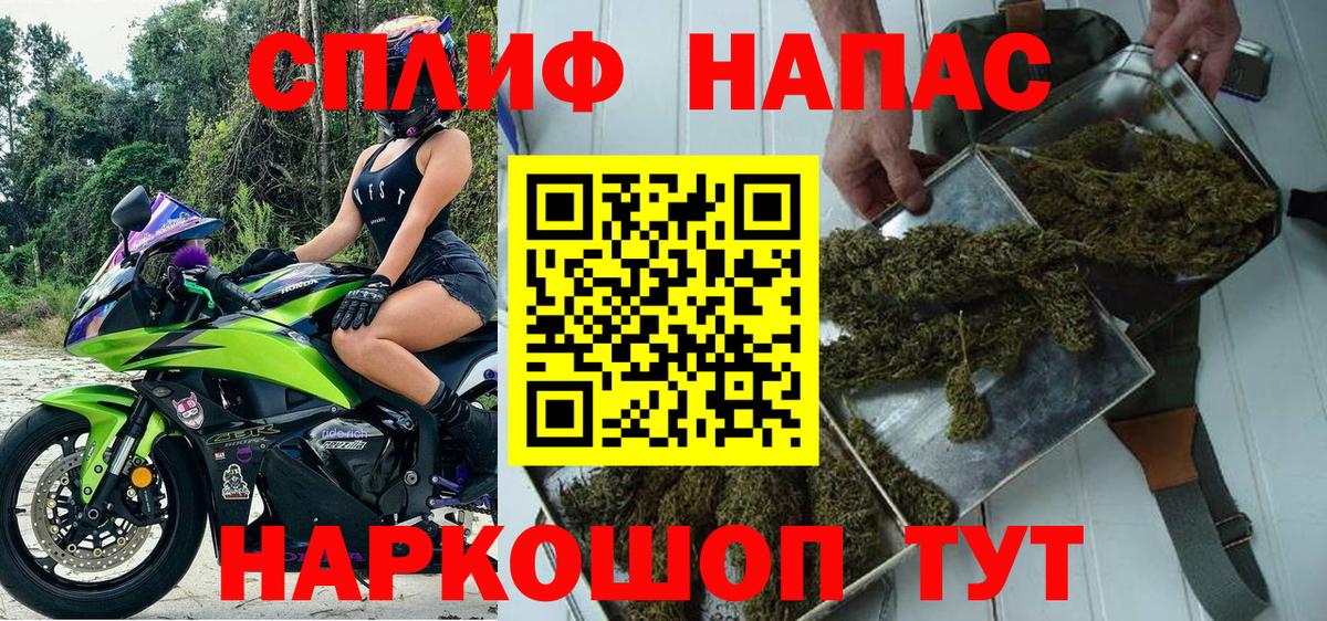 Бошки марихуана план Ржев